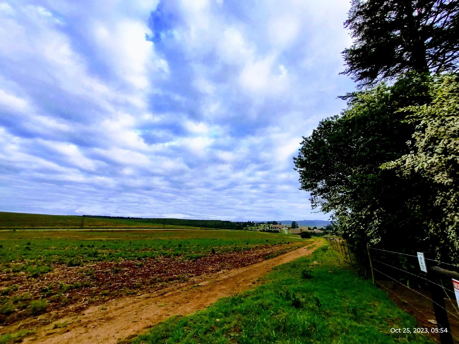 A farm road leading through cultivated fields