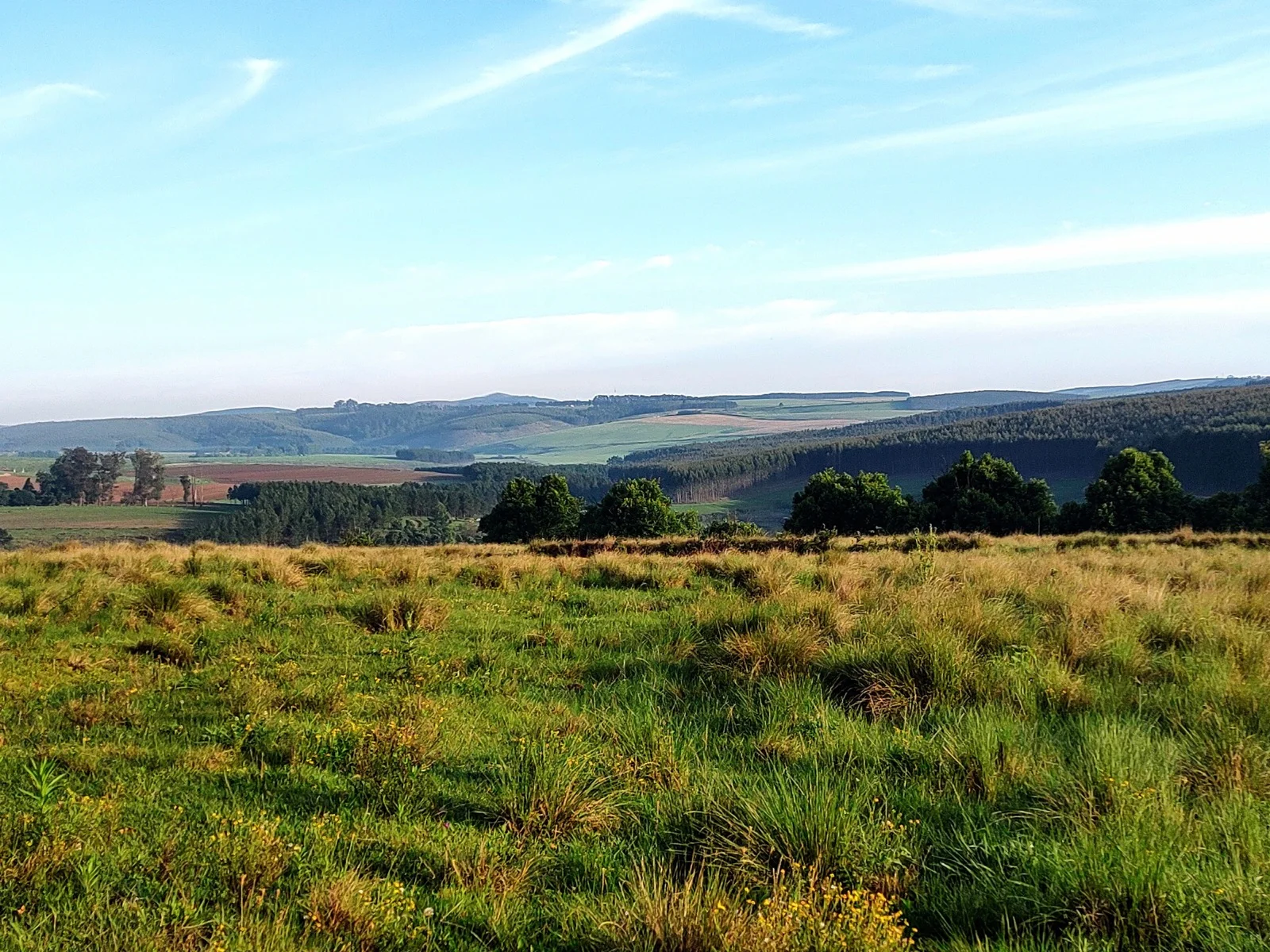Grassland and farmland around Hermannsburg