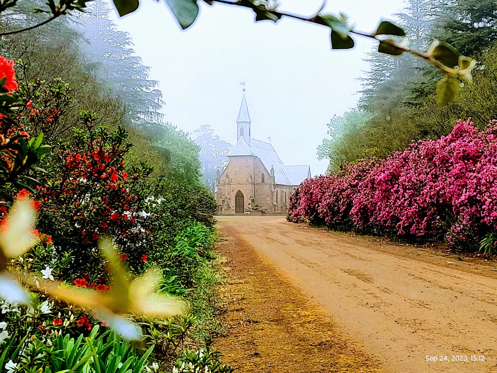Peter Paul Church framed by flowering hedges