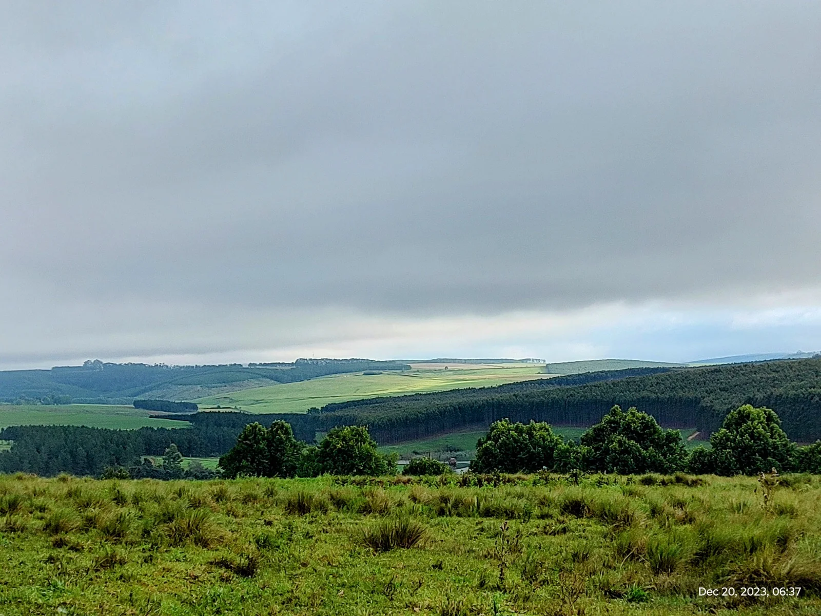 Grassland, cultivated fields and plantation blocks around Hermannsburg