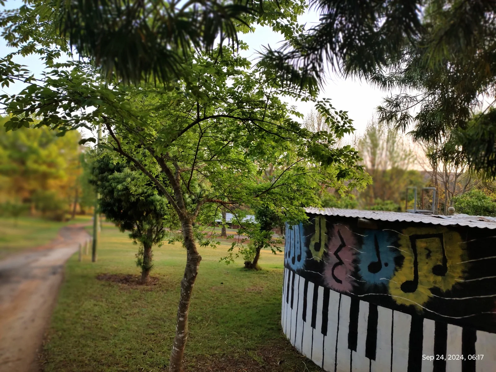 A painted music mural on the school grounds