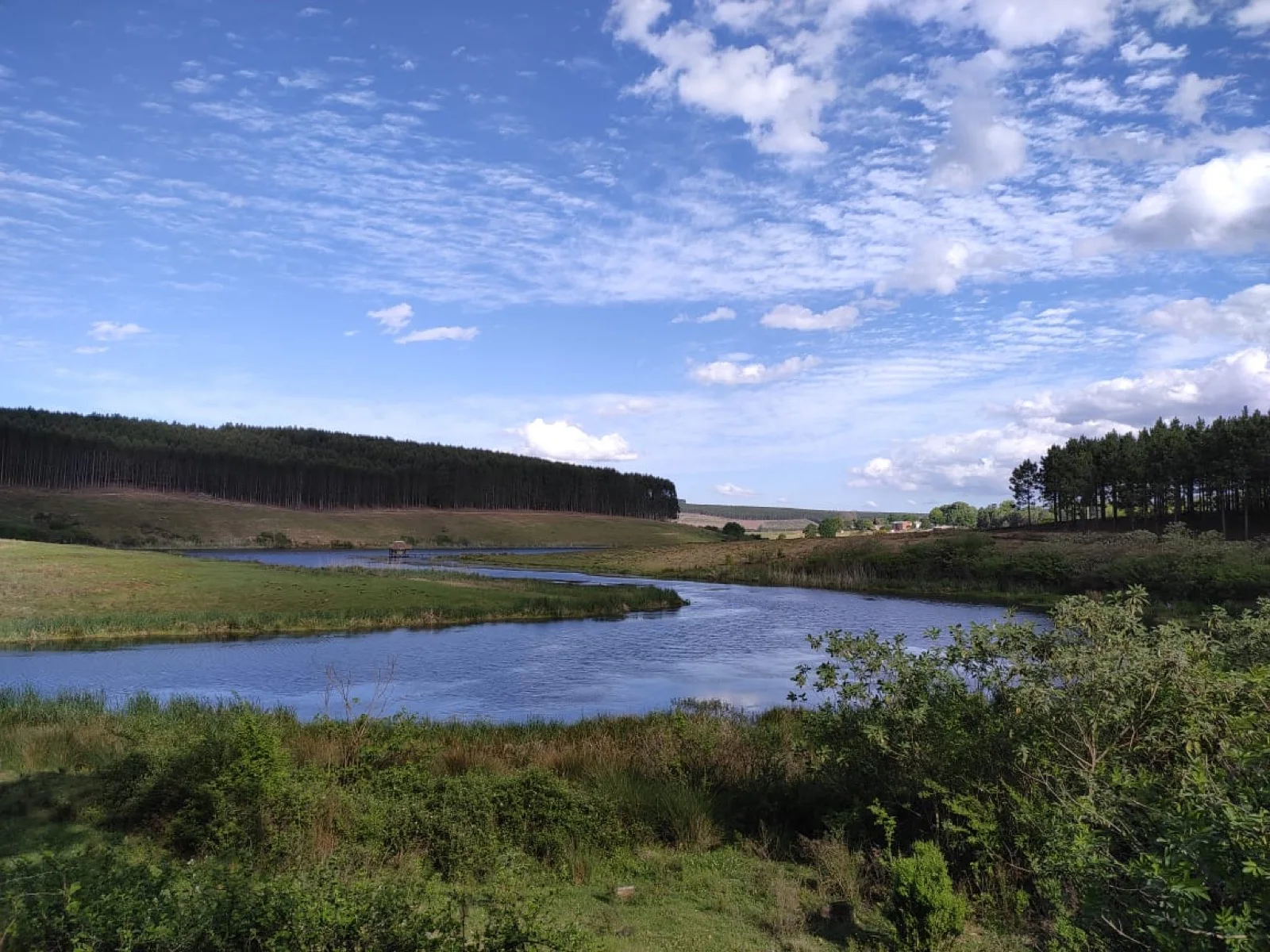 Water and grassland in the Hermannsburg landscape